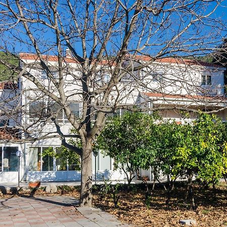 Apartments With A Parking Space Zuljana, Peljesac - 4574 المظهر الخارجي الصورة